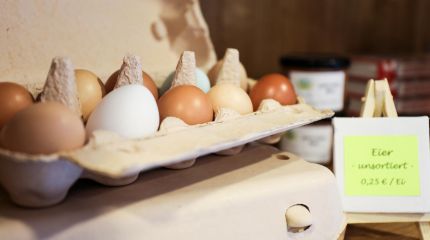 Frische Eier aus Freilandhaltung in unserem Hofladen